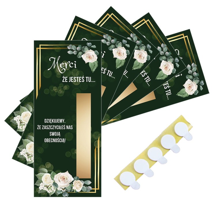 PDM_12_b1_butelkowa zieleń.jpg